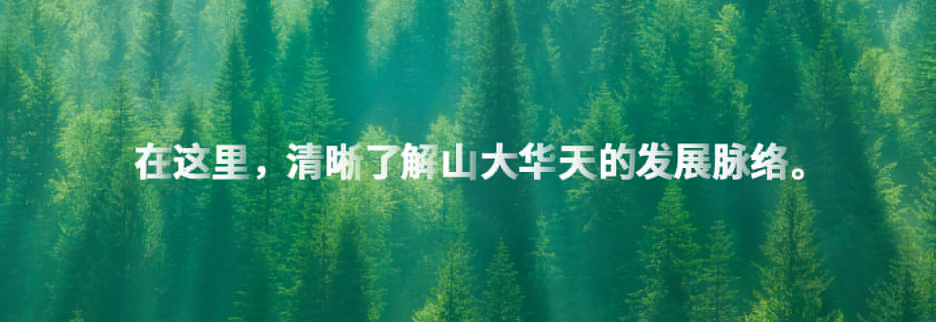服務(wù)至上